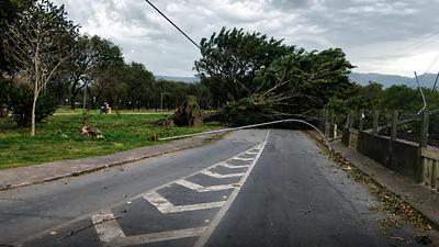 ventosaopaulo.jpg