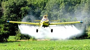 agrotoxico-300x168.jpg