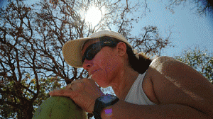 brasilia-ar-300x168.gif