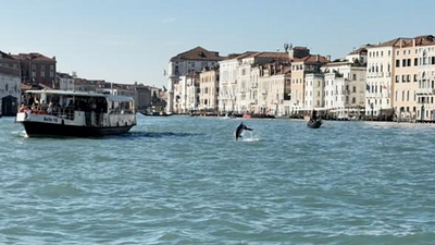 veneza.png