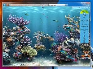 Internet-Explorer-9-300x224.jpg