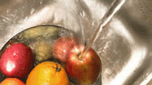 lavar-alimentos1-300x168.gif