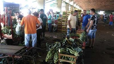 alimentos.jpg