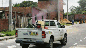 dengue-combate2-300x168.gif