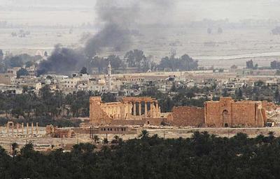 palmira1.jpg