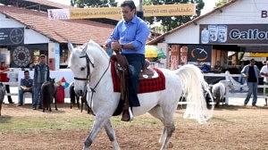 aecioneves-cavalo-300x168.jpg
