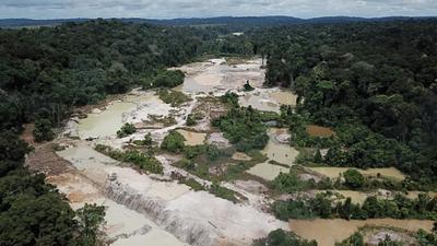 amazonia.jpg