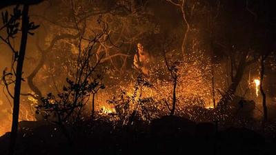 incendio-5.jpg