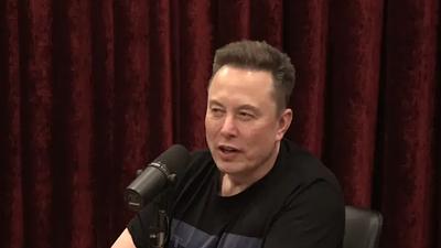 musk.jpg