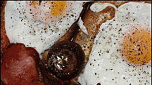 dieta-gordura-300x168.gif