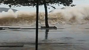 ressaca-nit-300x168.gif