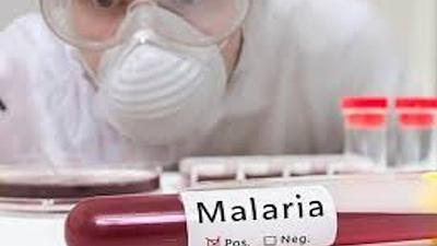 malaria.jpg
