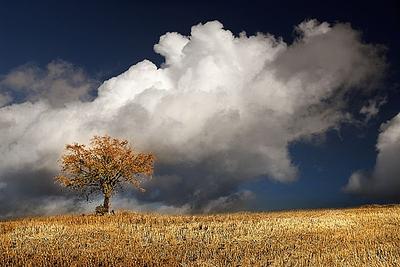 Outono-Espanha-Flickr-Jose-Maria-Cuellar-.jpg