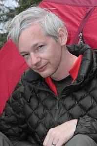 wikileaks_narrowweb__300x4510-199x300.jpg
