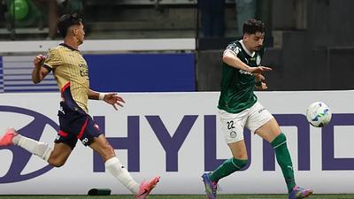 palmeiras.jpg