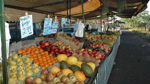 feira-300x168.gif