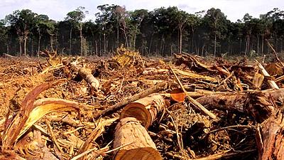 amazonia-desmata.jpg