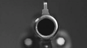 arma12-300x168.gif
