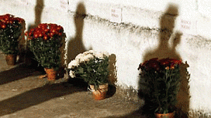 realengo-300x168.gif