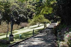 catumbarioprojeto.jpg