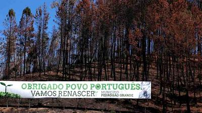 portugal.jpg