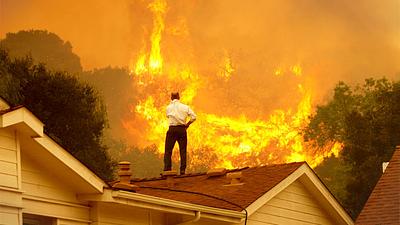 california-fogo.jpg