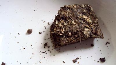 maconha.jpg