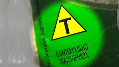 transgenicos.jpg