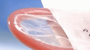 camisinha-300x168.gif