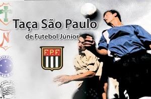 copa-sp-300x198.jpg