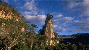 caosentado-300x168.gif