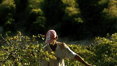 agricultura.jpg