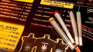 maconhaholanda-300x168.jpg