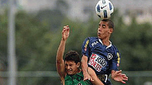 marcovini-bota-300x168.gif