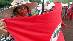 viacampesina-300x168.jpg