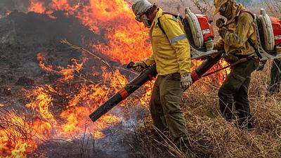 incendiosmeioambiente.jpg
