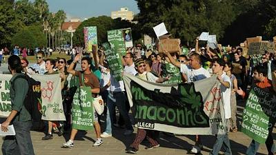 maconha.jpg
