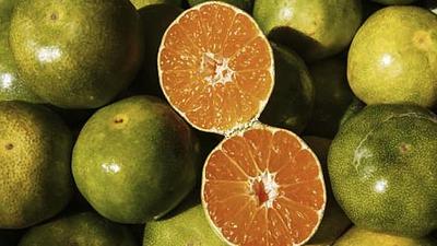 laranja.jpg