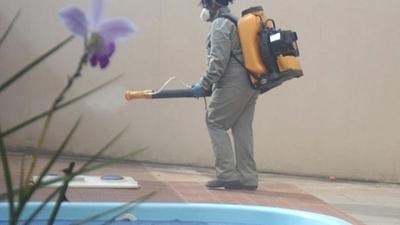 dengue1.jpg