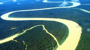 amazonia-300x168.gif