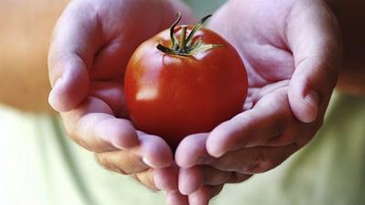 tomatesaude.jpg