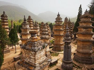 pagoda-forest-china_32861_990x742-e1300373641875.jpg