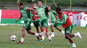 flu-laterais-300x168.gif