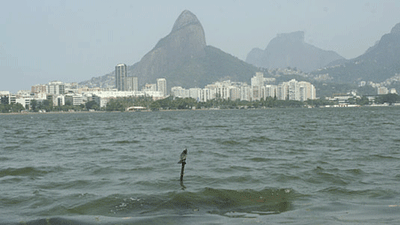 vento-copa.gif
