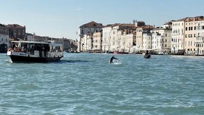 veneza.png