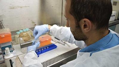 zika-3.jpg