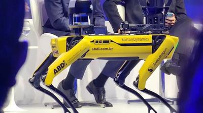 robo.jpg