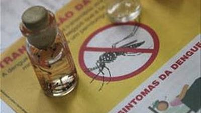 zika-1.jpg