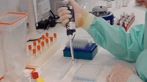 hepatitec-300x168.gif