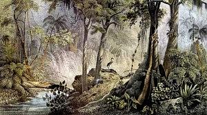 rugendas-300x168.jpg